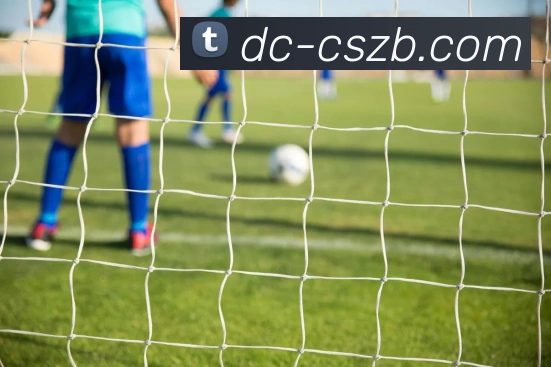 彩神争霸平台生态图